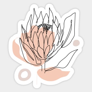 One line continuous protea flower and trendy shapes. Sticker